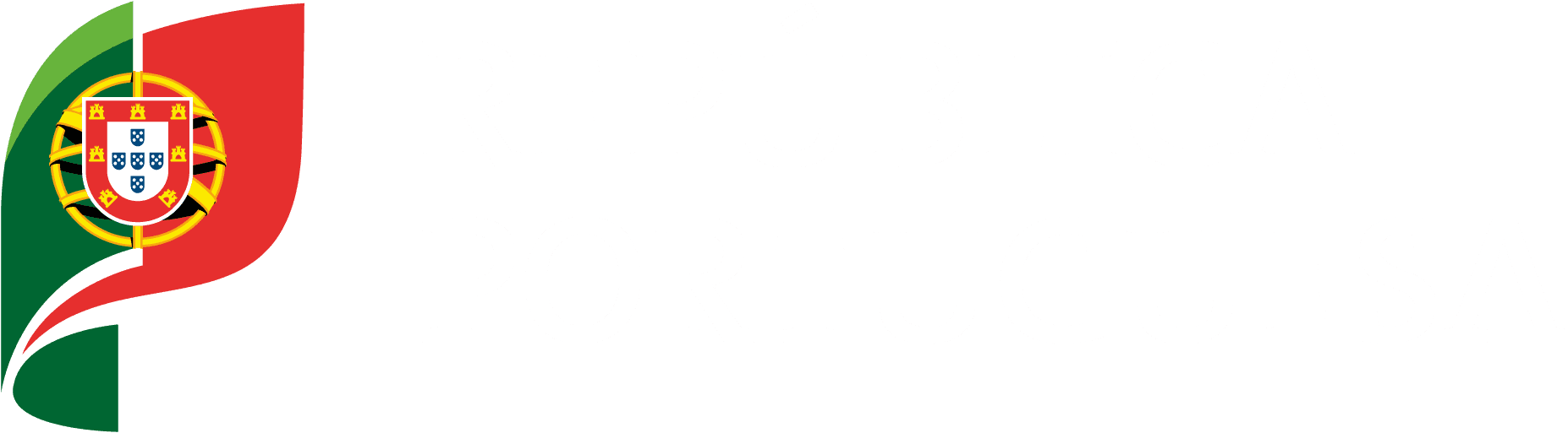 DiamWall Client Gov.pt Logo